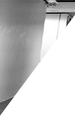 পূত্রব্য