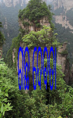 ଗଛ ଦେବତା