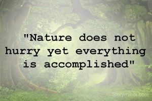 "Nature does not
hurry yet everything 
is accomplished"