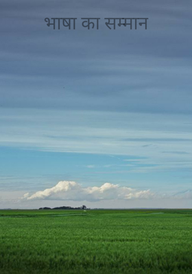 भाषा का सम्मान