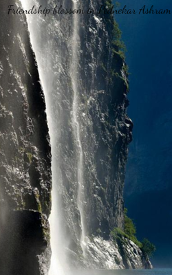 Friendship Blossoms In Pednekar Ashram