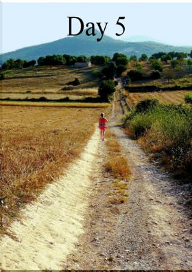Day 5