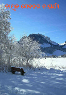 ତାମ୍ବୁଳ ସେବନର ତାତ୍ପର୍ଯ୍ୟ