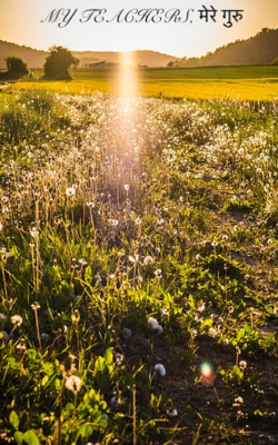 MY TEACHERS, मेरे गुरु 