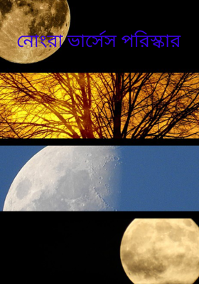 নোংরা ভার্সেস পরিস্কার