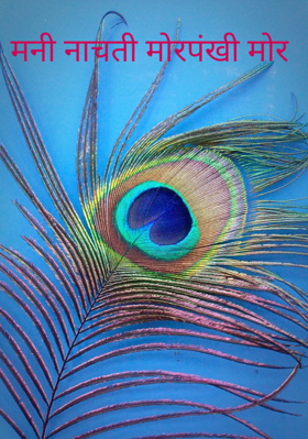 मनी नाचती मोरपंखी मोर