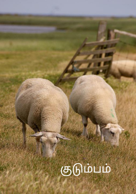 குடும்பம்