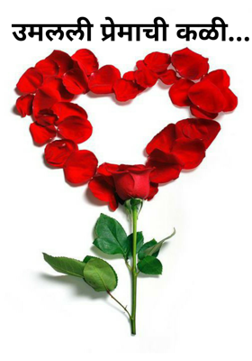 उमलली प्रेमाची कळी...