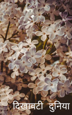 दिखावटी दुनिया