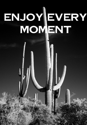 Enjoy Every Moment
