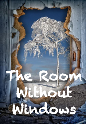 The Room Without Windows