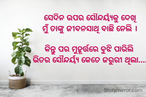 ସେଦିନ ଉପର ସୌନ୍ଦର୍ୟ୍ଯକୁ ଦେଖି
ମୁଁ ତାଙ୍କୁ ଜୀବନସାଥି ବାଛି ନେଲି ।

କିନ୍ତୁ ପର ମୁହୂର୍ତ୍ତରେ ବୁଝି ପାରିଲି 
ଭିତର ସୌନ୍ଦର୍ୟ୍ଯ କେତେ ଜରୁରୀ ଥିଲା....