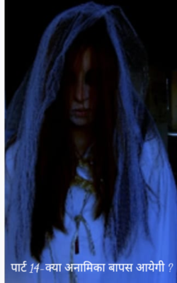 पार्ट 14-क्या अनामिका वापस आयेगी ?