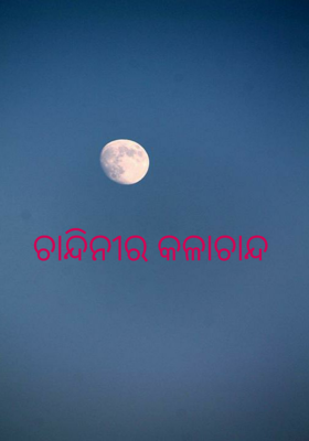 ଚାନ୍ଦିନୀର କଳାଚାନ୍ଦ