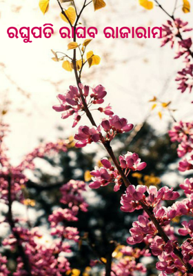 ରଘୁପତି ରାଘବ ରାଜାରାମ