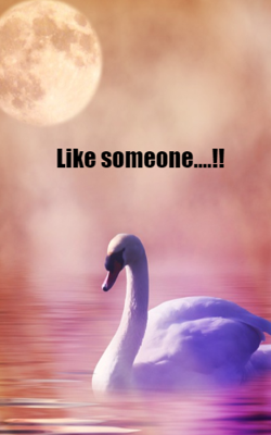 Like Someone....!!