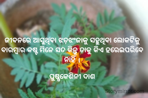ଜୀବନରେ ଆସୁଥିବା ଝଡ଼ଝଂଜାକୁ ସହୁଥିବା ଲୋକଟିକୁ ବାରମ୍ବାର କଷ୍ଟ ମିଳେ ସତ କିନ୍ତୁ ତାକୁ କିଏ ହରେଇପରିବେ ନାହିଁ ।

ପୁଷ୍ପକେଶିନୀ ଦାଶ