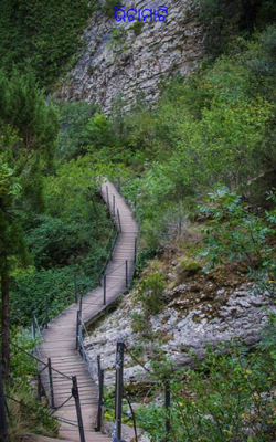 ଭିଟାମାଟି