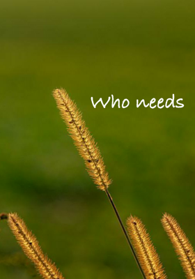 Who Needs