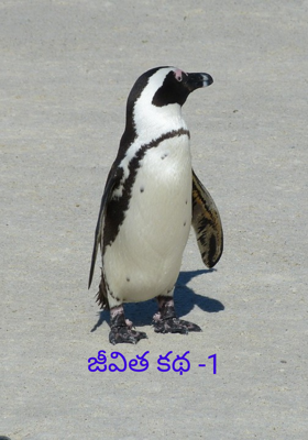 జీవిత కథ -1