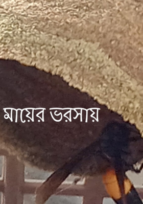 মায়ের ভরসায়