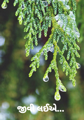 જીવી લઈએ