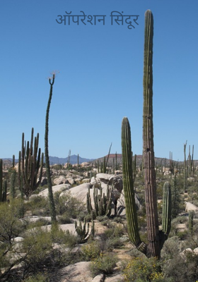 ऑपरेशन सिंदूर 