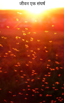 जीवन एक संघर्ष