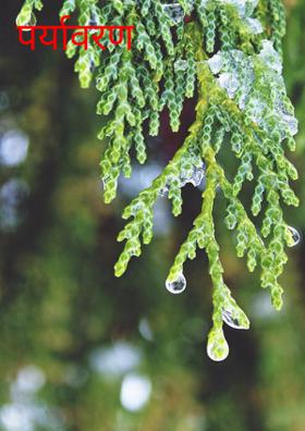 पर्यावरण सुरक्षा