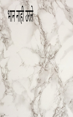 भान नाही उरले