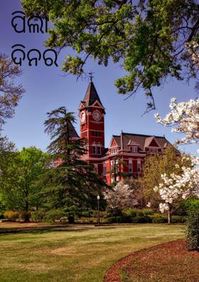 ପିଲା ଦିନର ସ୍ବପ୍ନ