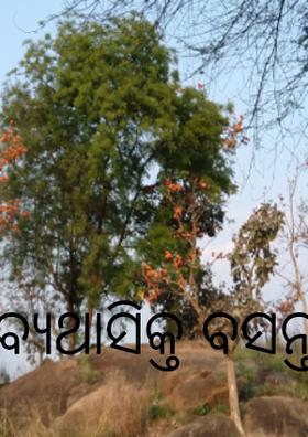 ବ୍ୟଥାସିକ୍ତ ବସନ୍ତ