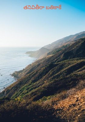 తనివితీరా బతికాకే