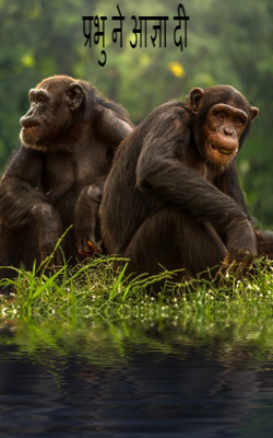 प्रभु ने आज्ञा दी