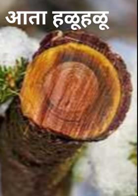 आता हळूहळू