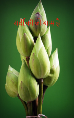 सर्दी की जो शाम है