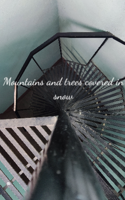 Mountains and trees covered in snow