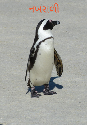 નખરાળી -2