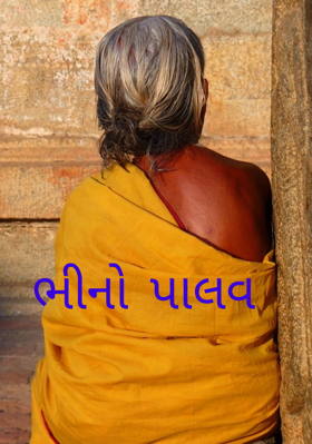 ભીનો પાલવ