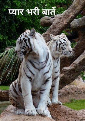 प्यार भरी बातें