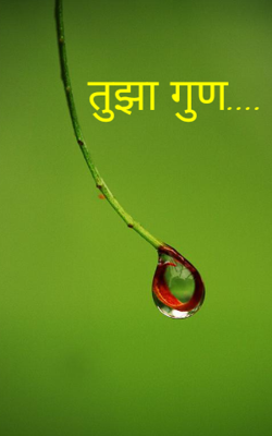 तुझा गुण....