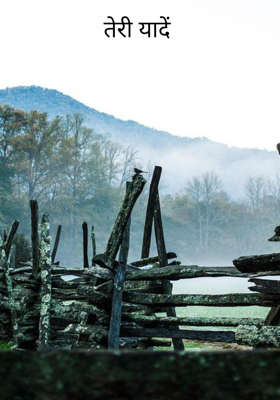 तेरी यादें