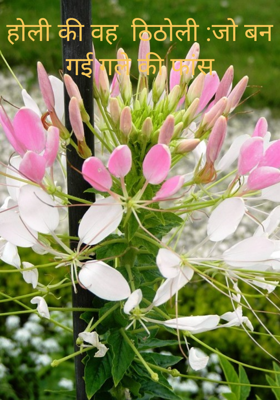 होली की वह  ठिठोली :जो बन गई गले की फांस