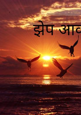 झेप आकाशाची...