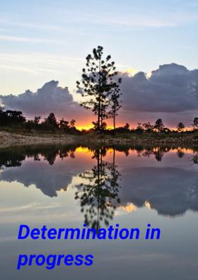 Determination in Progress