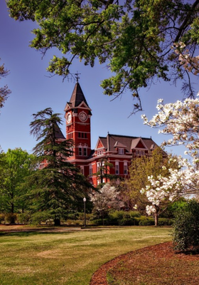 विस्मृत पथ के साथी