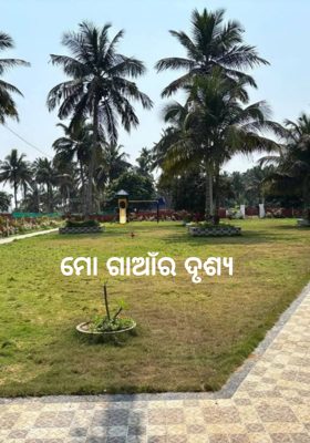 ମୋ ଗାଆଁର ଦୃଶ୍ଯ