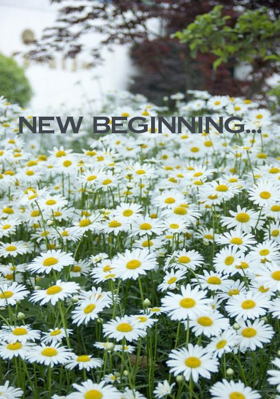 New beginning...