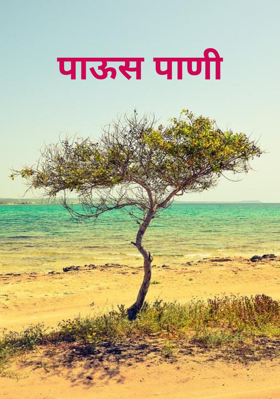 पाऊस पाणी