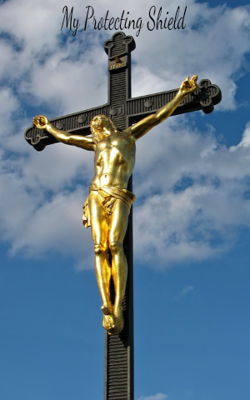 My Protecting Shield